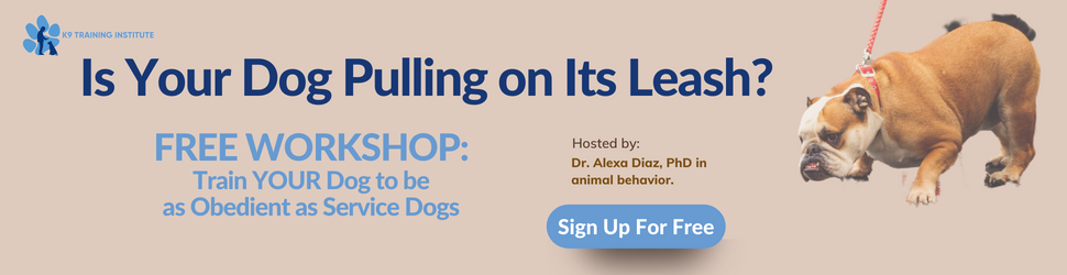 5-970-x-250-Banner-K9TI Free Online Dog Training Workshop